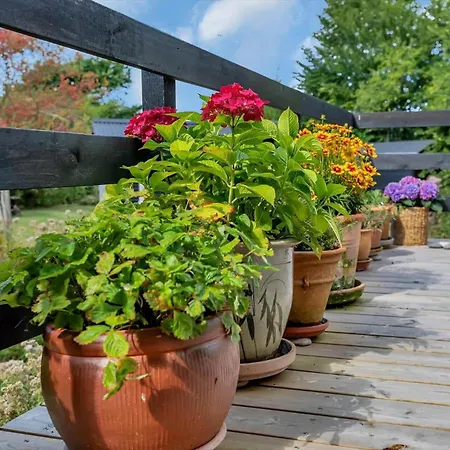 11868-nykobing-sj-fasanstien-16 *