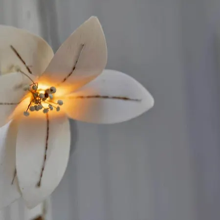 11868-nykobing-sj-fasanstien-16 * Klint